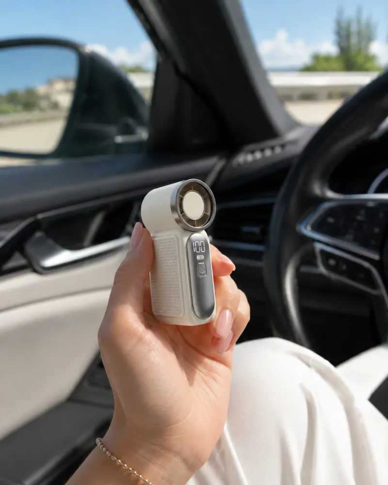 Żiffa fan in hand inside a car